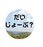 sora sora sticker（個別スタンプ：16）