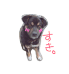 チビとら（個別スタンプ：6）