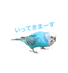 なかやまちっち＆ぽこ（個別スタンプ：2）