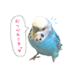 なかやまちっち＆ぽこ（個別スタンプ：3）