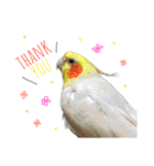 なかやまちっち＆ぽこ（個別スタンプ：4）