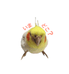 なかやまちっち＆ぽこ（個別スタンプ：7）