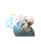 なかやまちっち＆ぽこ（個別スタンプ：10）