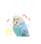 なかやまちっち＆ぽこ（個別スタンプ：13）