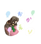 えいとくん☺︎ no.2（個別スタンプ：8）