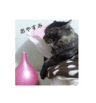 ぼく銀二郎（個別スタンプ：24）