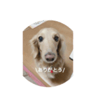 あのハルです（個別スタンプ：3）