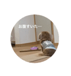 あのハルです（個別スタンプ：7）