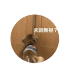 あのハルです（個別スタンプ：9）