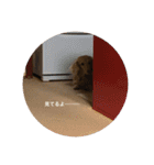 あのハルです（個別スタンプ：18）