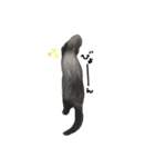 ferret❤︎（個別スタンプ：3）