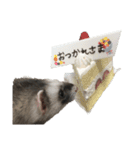 ferret❤︎（個別スタンプ：11）