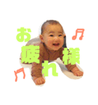 芽生スタンプ 2（個別スタンプ：7）