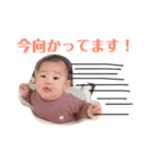 芽生スタンプ 2（個別スタンプ：15）