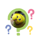ピーちゃんひなちゃん（個別スタンプ：1）