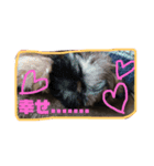 ぶんちゃんの足跡（個別スタンプ：3）