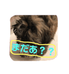 ぶんちゃんの足跡（個別スタンプ：4）