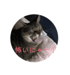 子供達のひと言（個別スタンプ：5）