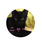 子供達のひと言（個別スタンプ：10）