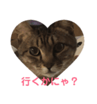 子供達のひと言（個別スタンプ：11）