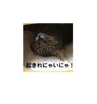 子供達のひと言（個別スタンプ：12）