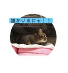 子供達のひと言（個別スタンプ：13）