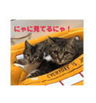 子供達のひと言（個別スタンプ：14）