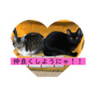 子供達のひと言（個別スタンプ：15）