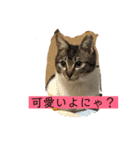 子供達のひと言（個別スタンプ：16）