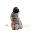 むーちゃんのすたんぷです（個別スタンプ：23）