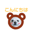 ウチの自宅警備員（個別スタンプ：2）