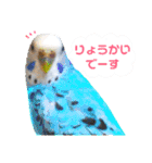 ウチの自宅警備員（個別スタンプ：21）