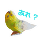 ウチの自宅警備員（個別スタンプ：22）