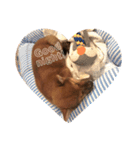 柴犬おりん♡（個別スタンプ：6）
