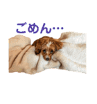 ニア氏 ボバ氏（個別スタンプ：2）