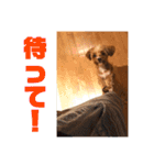 ニア氏 ボバ氏（個別スタンプ：5）