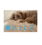 ニア氏 ボバ氏（個別スタンプ：6）