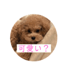 ニア氏 ボバ氏（個別スタンプ：13）