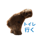 ニア氏 ボバ氏（個別スタンプ：17）