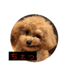 ニア氏 ボバ氏（個別スタンプ：18）