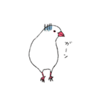 白文鳥のししゃも（個別スタンプ：4）