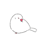 白文鳥のししゃも（個別スタンプ：7）