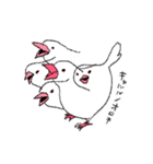 白文鳥のししゃも（個別スタンプ：8）