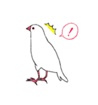 白文鳥のししゃも（個別スタンプ：10）