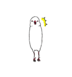 白文鳥のししゃも（個別スタンプ：12）