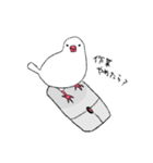 白文鳥のししゃも（個別スタンプ：15）