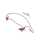 白文鳥のししゃも（個別スタンプ：16）
