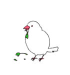 白文鳥のししゃも（個別スタンプ：22）