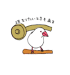 白文鳥のししゃも（個別スタンプ：23）