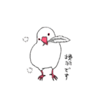 白文鳥のししゃも（個別スタンプ：25）
